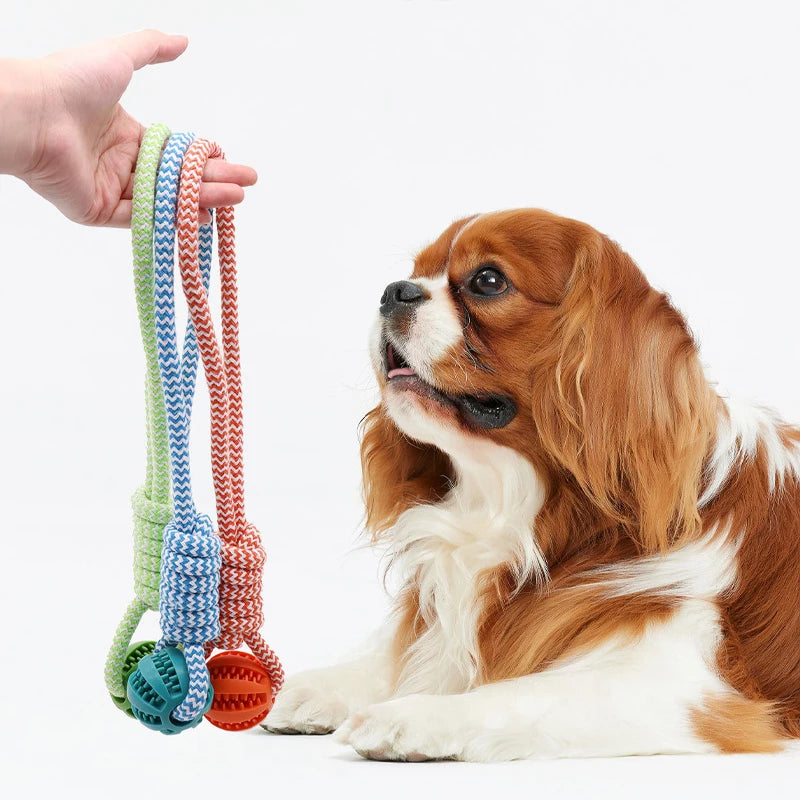 Puppie Rubber Toy™